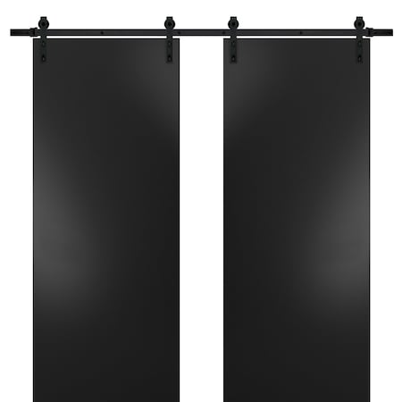 Sartodoors Closet Bypass Interior Door, 48" x 80", Gray PLANUM10DB-BLK-6084